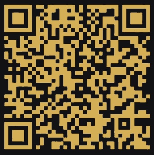 Instagram QR